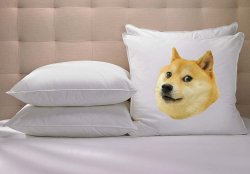 Doge pillow Meme Template