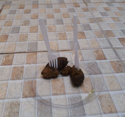 Comida bosta Meme Template