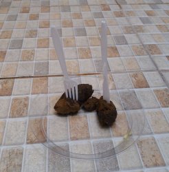 Comida bosta Meme Template