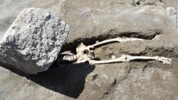 pompeii skeleton Meme Template