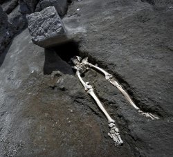 Pompeii Rox Meme Template