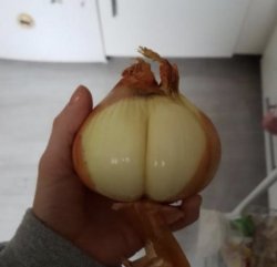 Onion Butt Meme Template