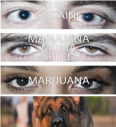 eyes on drugs Meme Template