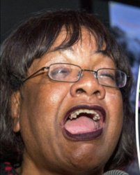 Diane Abbott Meme Template