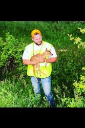 Pipelinerdeer Meme Template