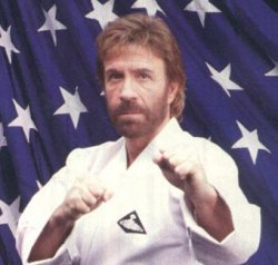 Chuck Norris Karate Meme Template