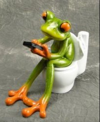 Frog on toilet  Meme Template