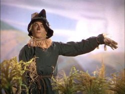 Wizard Of Oz Scarecrow Meme Template
