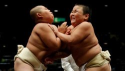 Child sumo wrestlers Meme Template