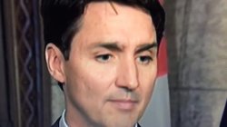 Trudeau eyebrow Meme Template