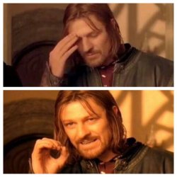 Both reactions from Mordor Meme Template