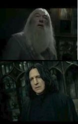 Dumbledore Snape Meme Template