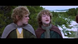 Hobbit Merry Pippin Meme Template