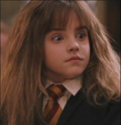 the face you make when someone says they hate harry potter Meme Template