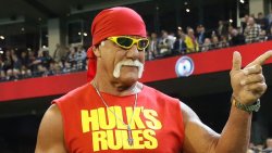 Hulk Hogan brother  Meme Template