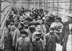 children in concentration camps Meme Template