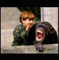 boy tells monkey the reality Meme Template