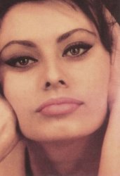 Sophia Loren face Meme Template