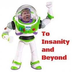 To Insanity and Beyond Trump Meme Template