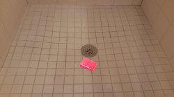 Its a Trap Meme Template