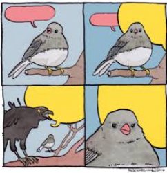 Annoyed Bird Meme Template