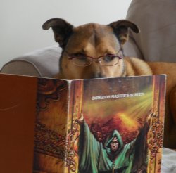 Dog dungeon master has no idea what he's doing Meme Template