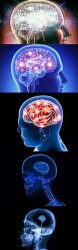 Shrinking Brain Meme Template