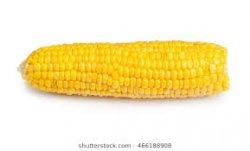 Corn on the cob  Meme Template