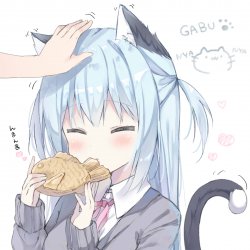 Nekogirl Meme Template