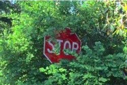 Stop Sign Behind Bushes Meme Template