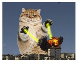 Lazer Cat Meme Template