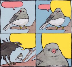 Annoyed Bird Meme Template