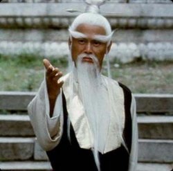 Pai Mei, kung fu master Meme Template
