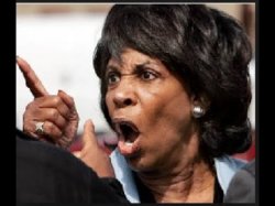 Angry Maxine Waters Meme Template