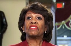 maxine waters Meme Template