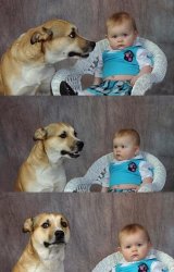 Baby and dog Meme Template