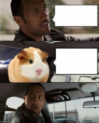 The Rock and Hammy Meme Template