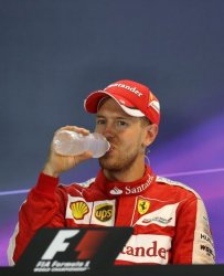 Vettel Drinks Meme Template