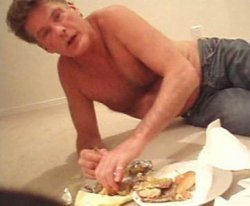 Drunk Hasselhoff Meme Template