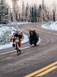 bear chasing biker Meme Template