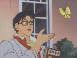 Is this a butterfly Meme Template