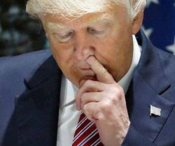Trump picking his nose Meme Template