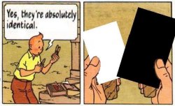 Absolutely identical  Meme Template
