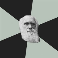 Darwin Meme Template