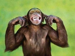 Chimp Plugging Ears Meme Template