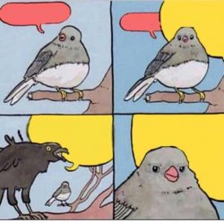Crow talks over bird Meme Template