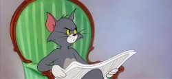 Tom Cat Reading a newspaper Meme Template