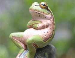 frog crossed arms Meme Template