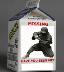Missing Ninja Meme Template