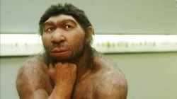 neanderthal Meme Template